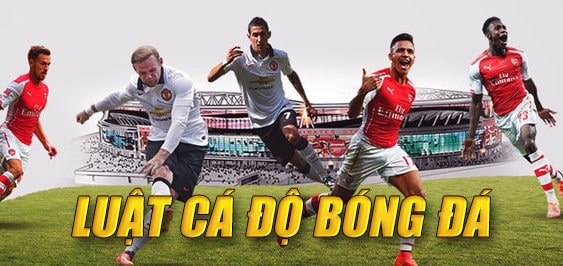 Anh em cần cá cược trong giới hạn quy định của Pháp luật