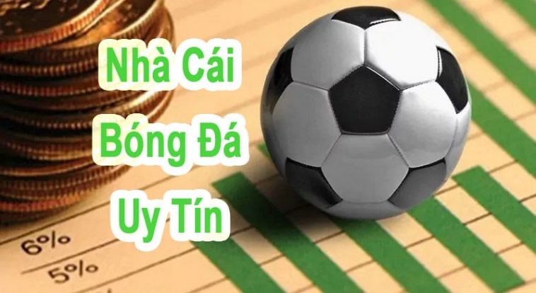 Topnhacai365 được đông đảo anh em lựa chọn